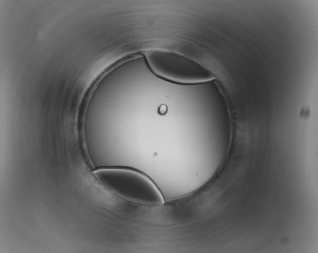 X0000113240884200909171600