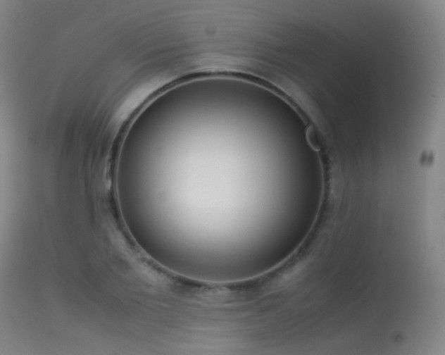 X0000113240885200909171600