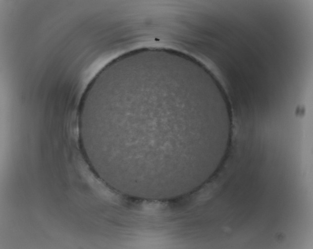 X0000113240887200909171600