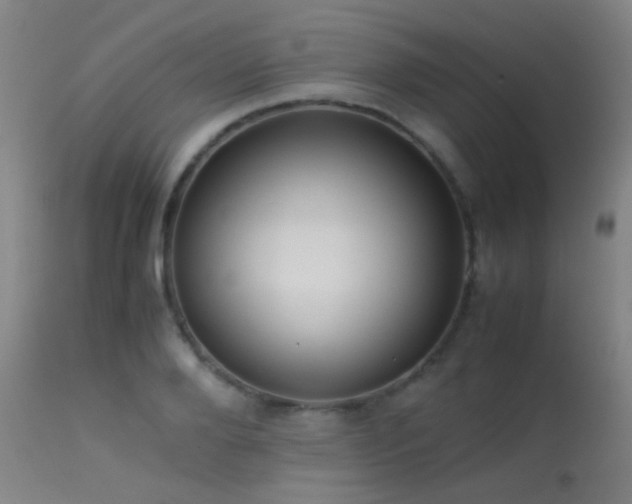 X0000113240888200909171600