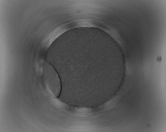 X0000113240889200909171600