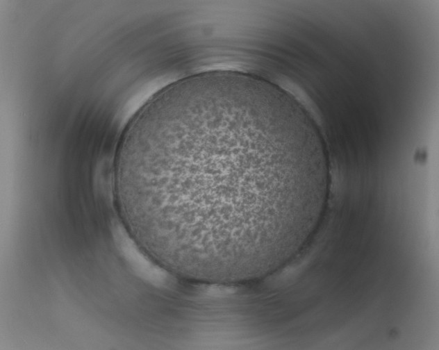 X0000113240890200909171600