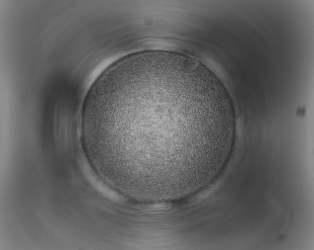 X0000113240891200909171600