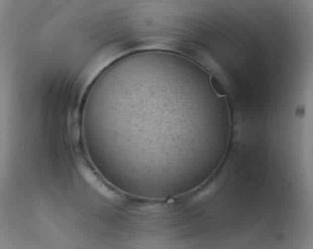 X0000113240892200909171600