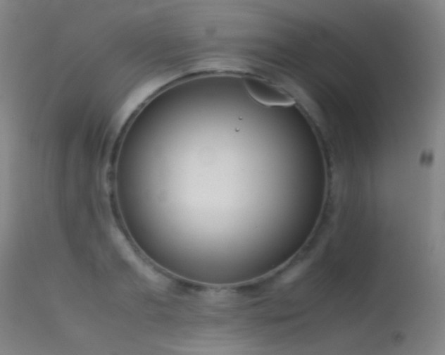 X0000113240893200909171600