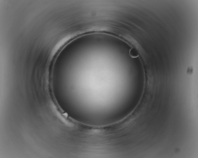 X0000113240894200909171600