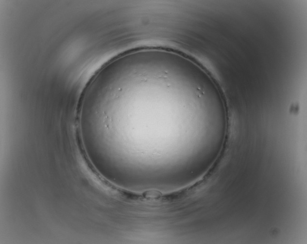 X0000113240895200909171600