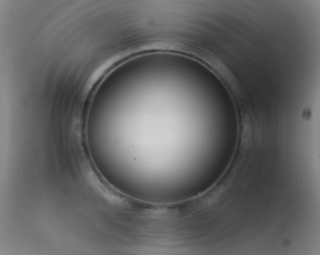 X0000113240896200909171600