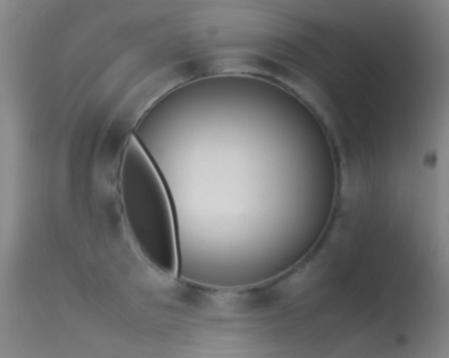 X0000113240897200909171600