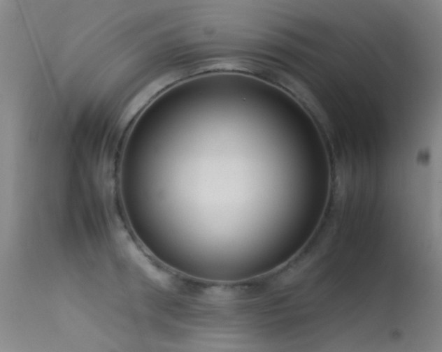 X0000113240898200909171600