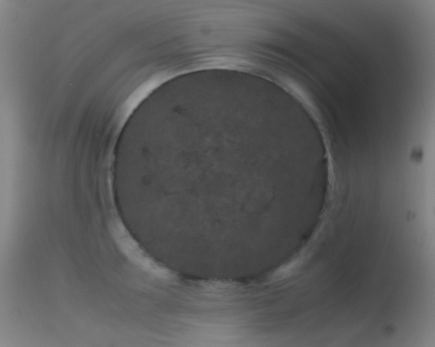 X0000113240899200909171600