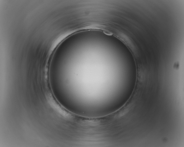 X0000113240900200909171600