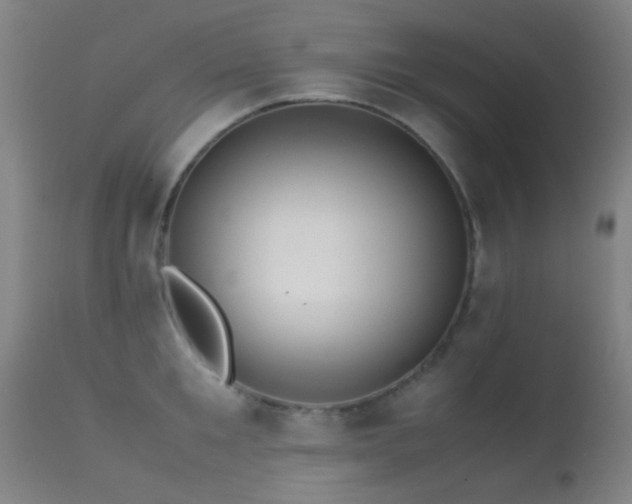 X0000113240901200909171600