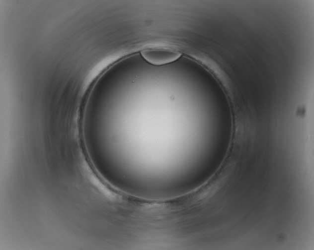 X0000113240902200909171600