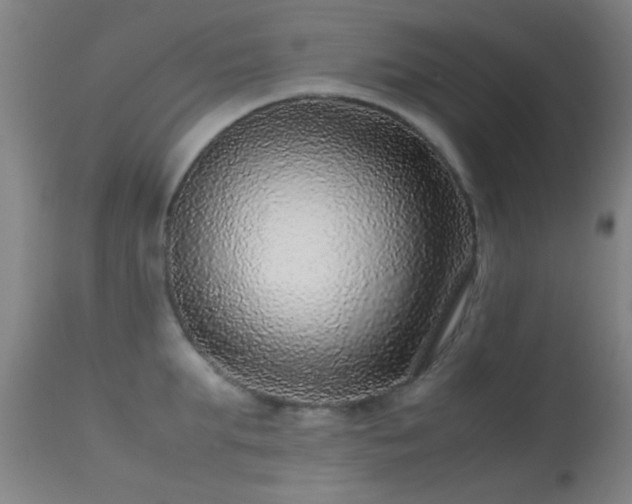 X0000113240903200909171600