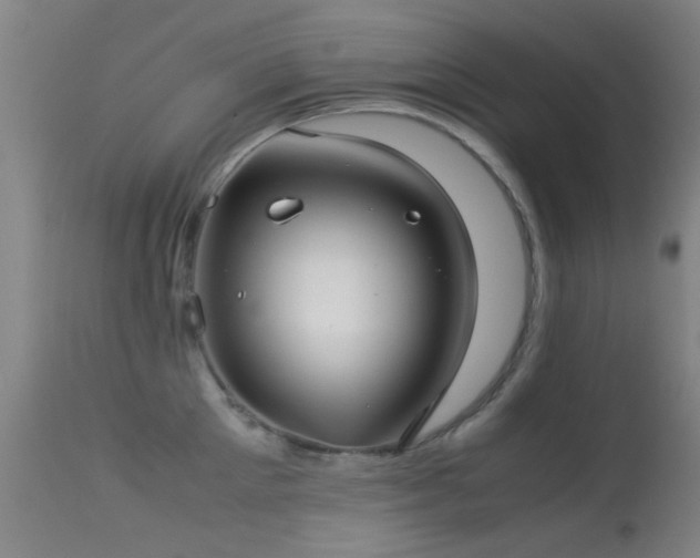 X0000113240905200909171600