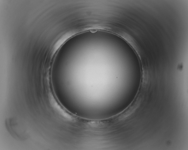 X0000113240906200909171600