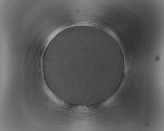 X0000113240907200909171559