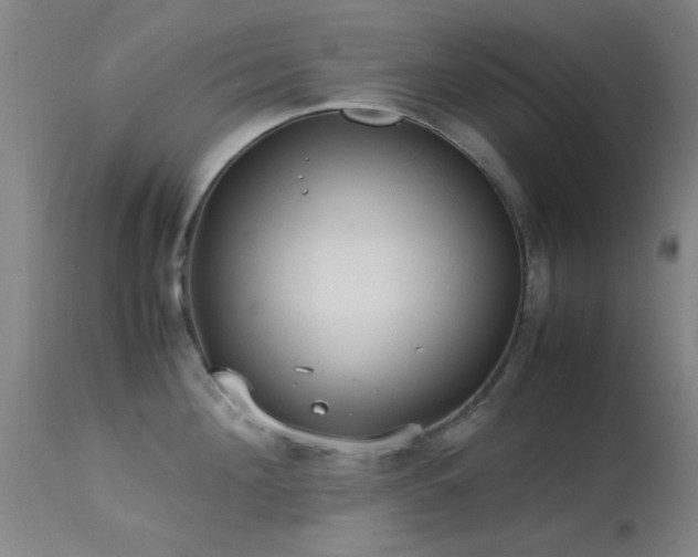 X0000113240908200909171559