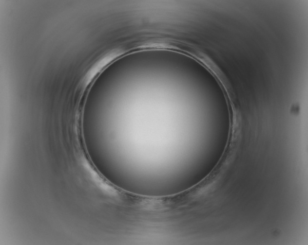 X0000113240909200909171559