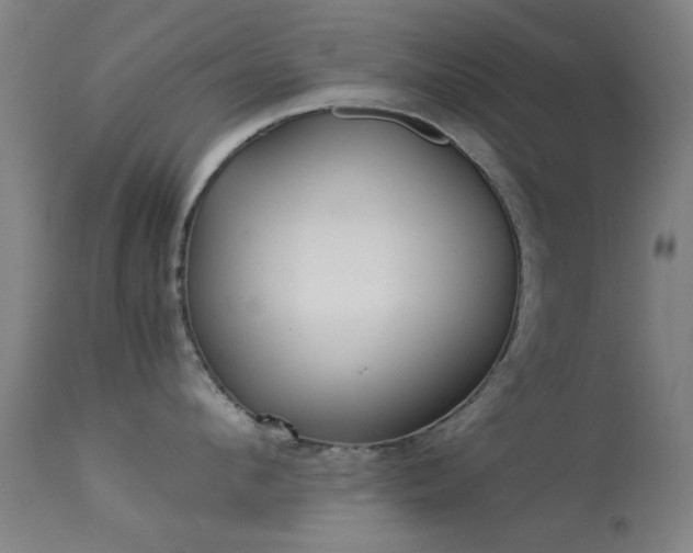 X0000113240912200909171559