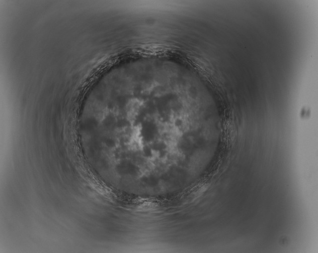 X0000113240913200909171559