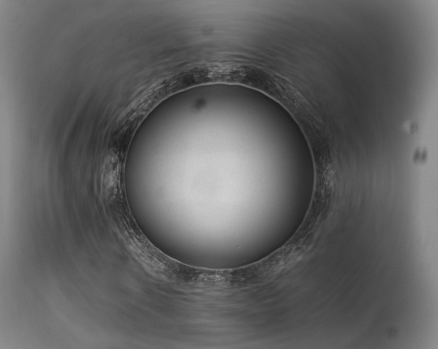 X0000113240914200909171559