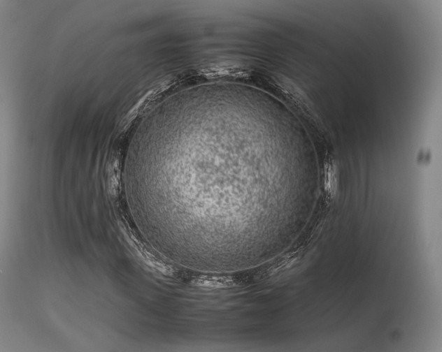 X0000113240915200909171559