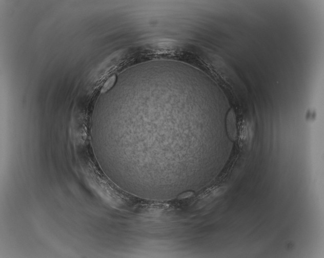 X0000113240916200909171559