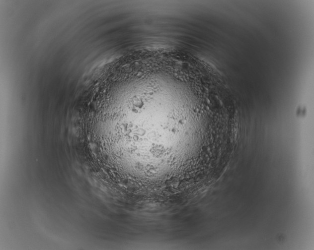 X0000113240917200909171559