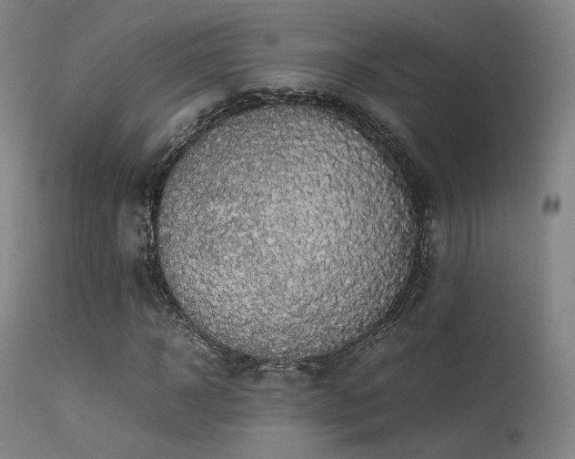 X0000113240918200909171559