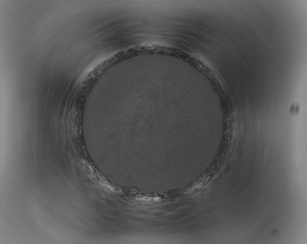 X0000113240919200909171559