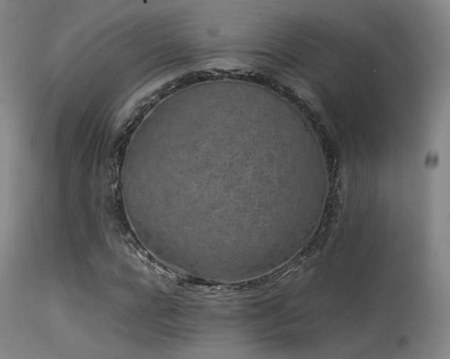 X0000113240920200909171559