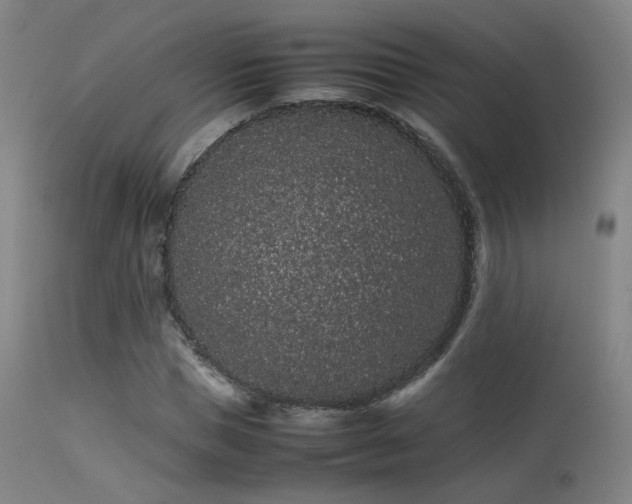 X0000113240921200909171559