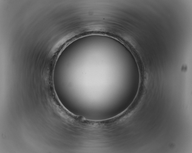 X0000113240922200909171559