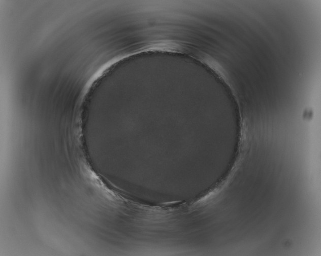 X0000113240923200909171559