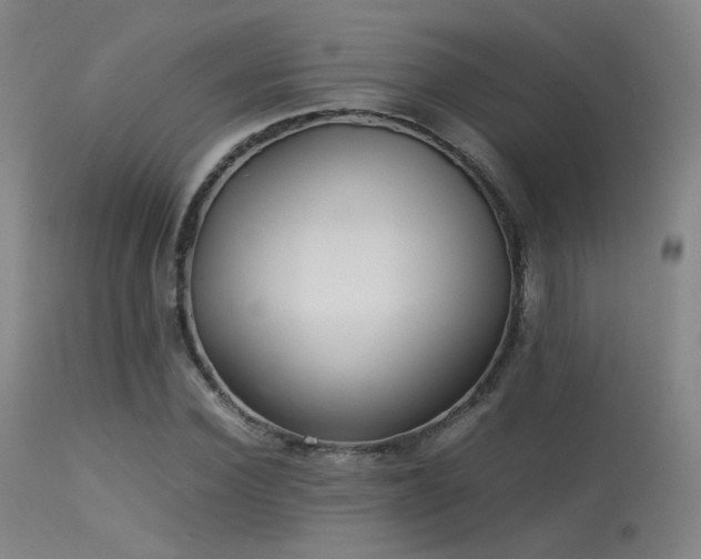 X0000113240924200909171559