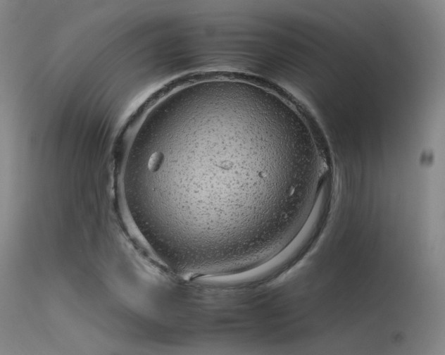 X0000113240925200909171559