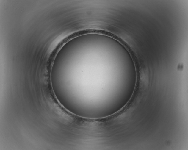 X0000113240926200909171559