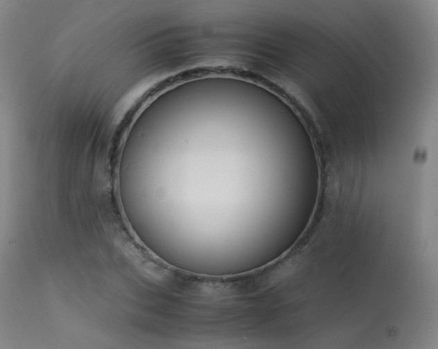 X0000113240927200909171559