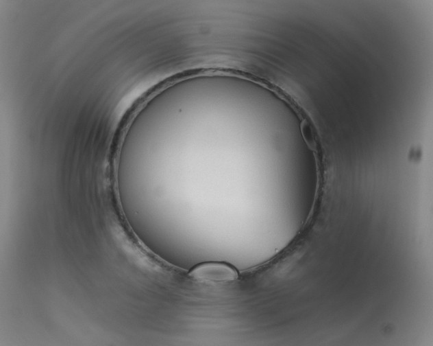 X0000113240928200909171559