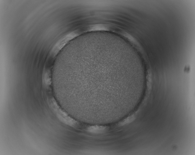 X0000113240929200909171559