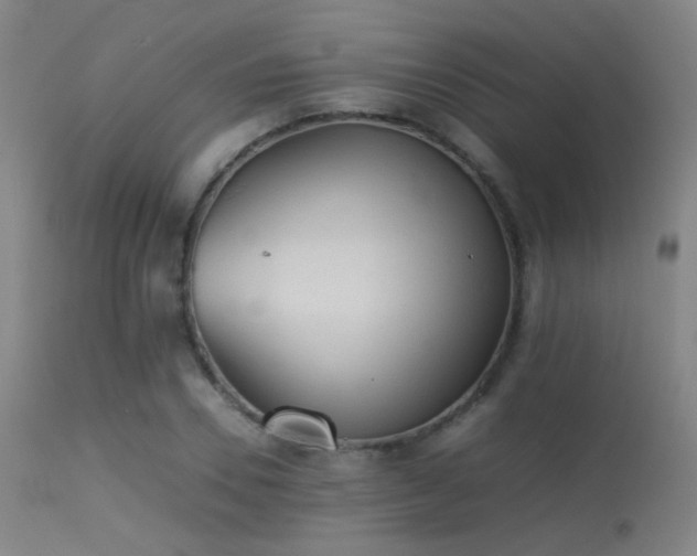 X0000113240930200909171559