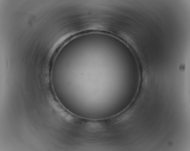 X0000113240931200909171559