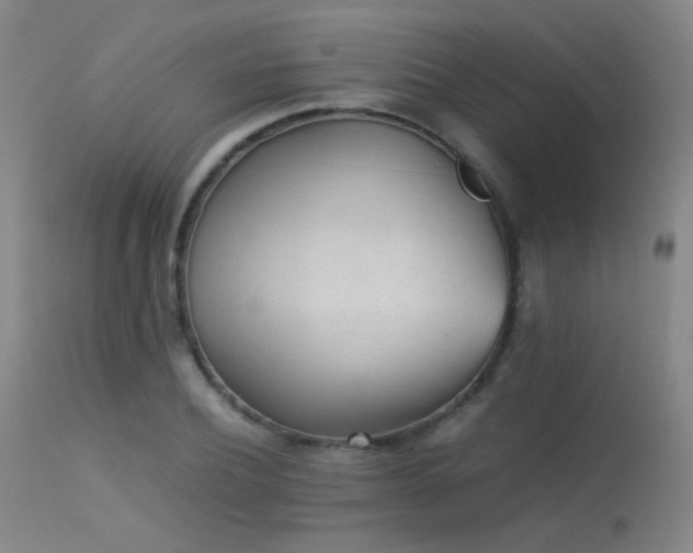 X0000113240932200909171559