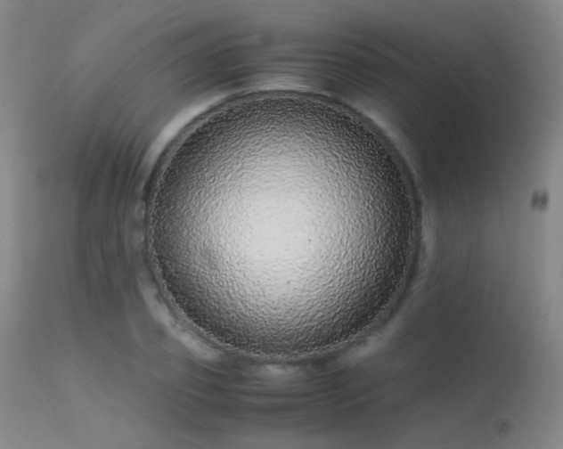 X0000113240933200909171559