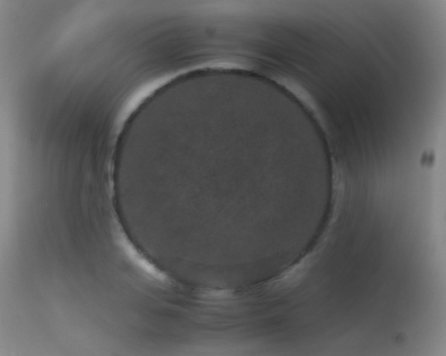 X0000113240935200909171559