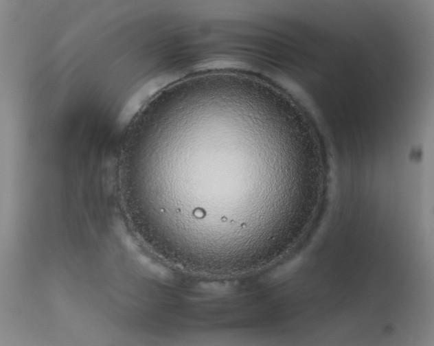 X0000113240937200909171559