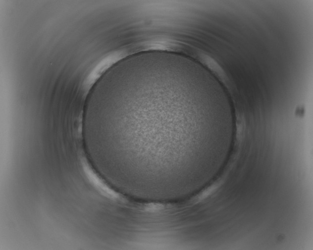 X0000113240938200909171559