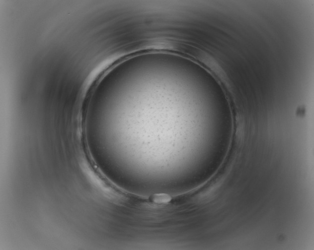 X0000113240939200909171559